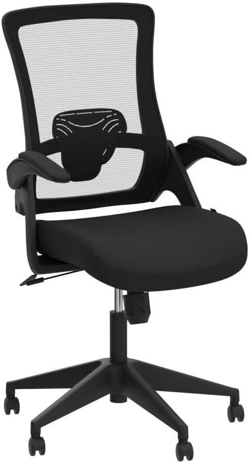 NEO CHAIR High Back Mesh Chair Adjustable Height and Ergonomic Design Home Office Computer Desk Chair Executive Lumbar Support Padded Flip-up Armrest Swivel Chair (Black)